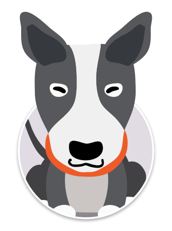 American-Staffordshire-Terrier